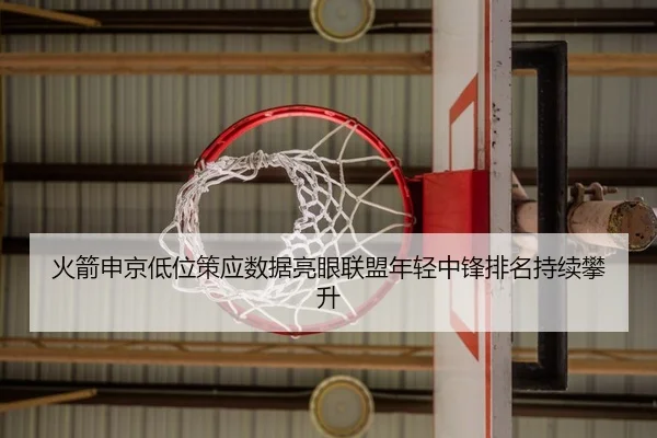 火箭申京低位策应数据亮眼联盟年轻中锋排名持续攀升