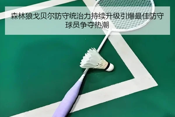 森林狼戈贝尔防守统治力持续升级引爆最佳防守球员争夺热潮